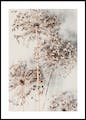 Autumn Allium Poster