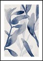 Aquatic Greenery No1 Poster