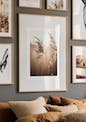 Sunlight Reed Poster